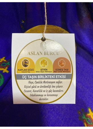 ASLAN BURCU BİLEKLİK